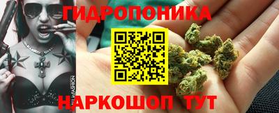 сатива Ставрополь