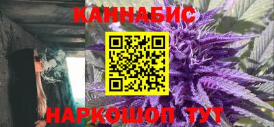 крисы Краснознаменск