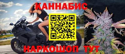 крисы Краснознаменск
